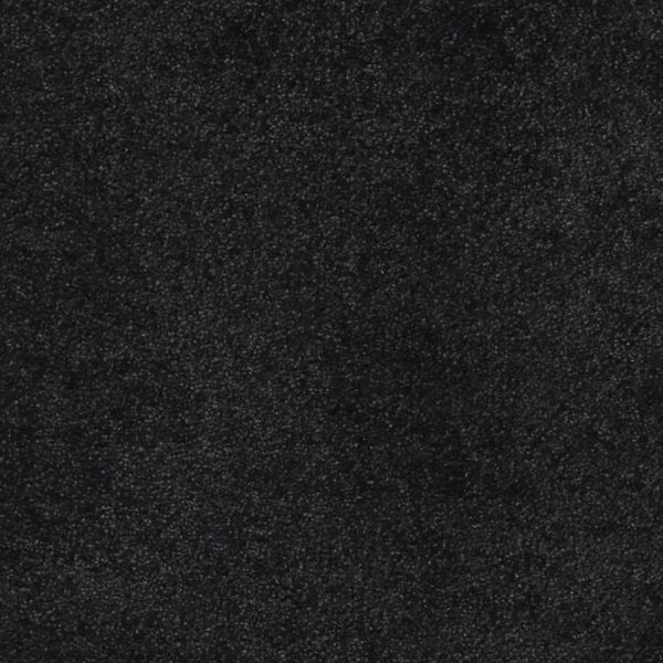 Picture of AXTON DIRTSTOP MAT 700X440MM